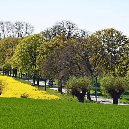 An Den Vilmnitzer Wiesen * Vilmnitz